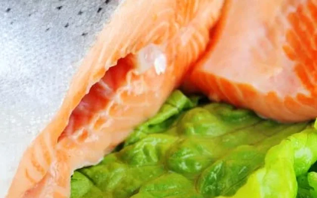 Proteinreiche Lebensmittel zum Abnehmen?