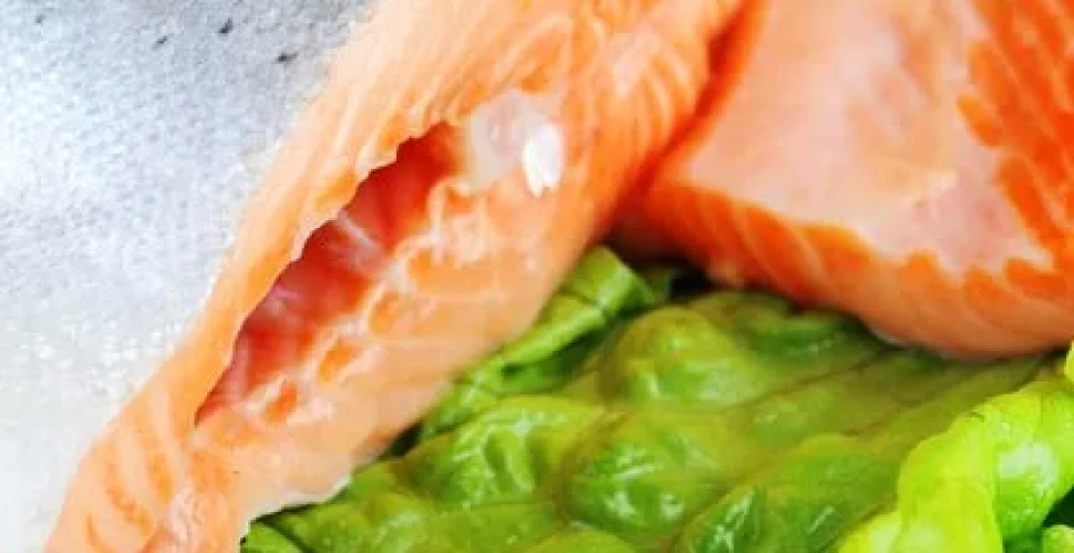 Proteinreiche Lebensmittel zum Abnehmen?