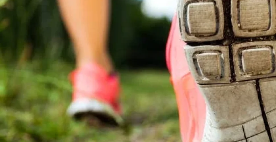 Lauftraining für Anfänger - Schritte zum Erfolg